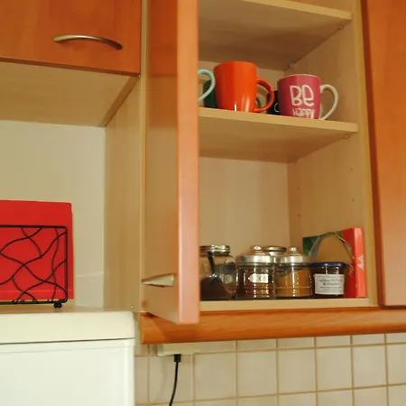 The Fir Trees House - το σπίτι με τα έλατα Apartment Litochoro